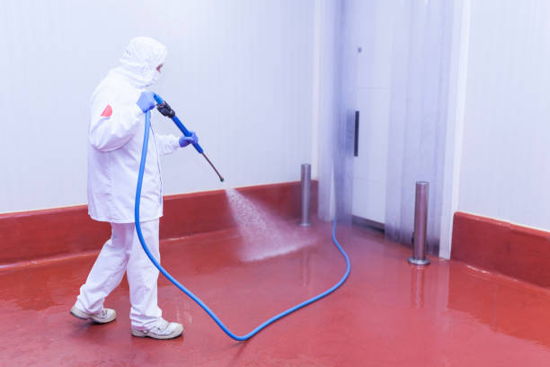 Best Warehouse Cleaning  in Kahuku, HI